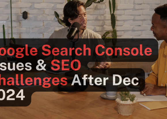 Google Search Console Issues and SEO Performance Challenges After December 2024 Updates