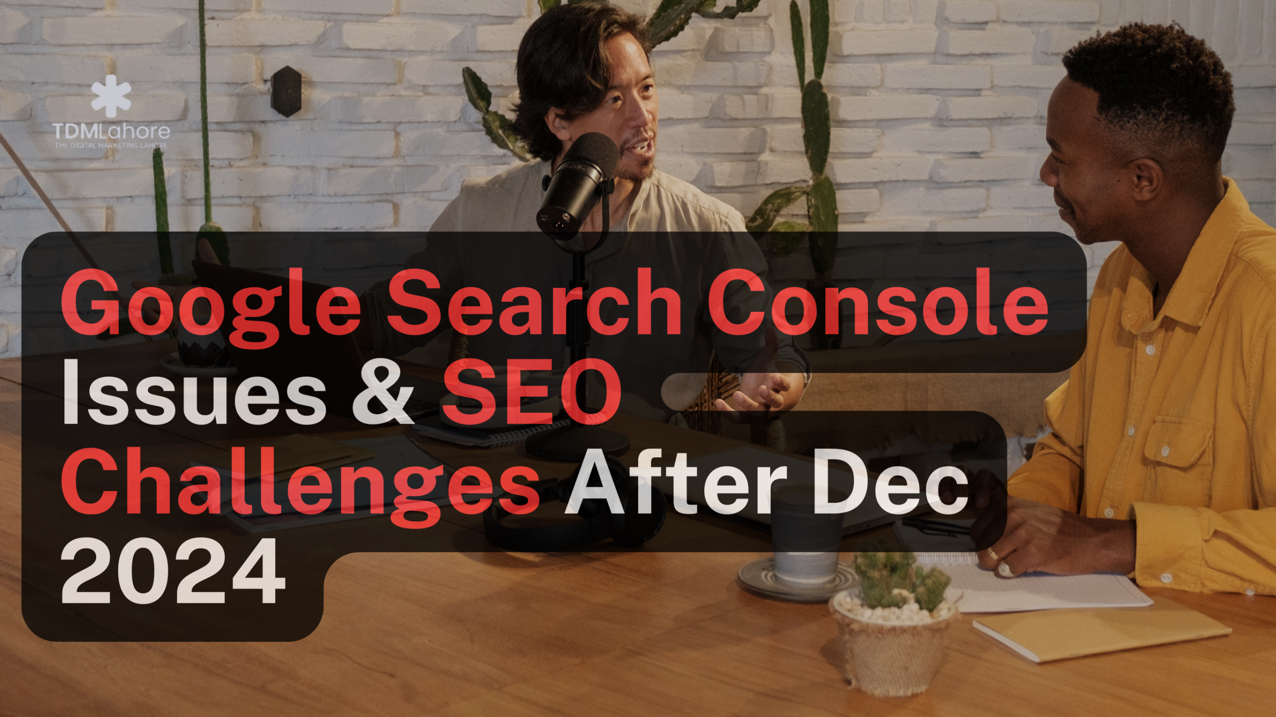 Google Search Console Issues & SEO Challenges After Dec 2024 | TDM Lahore