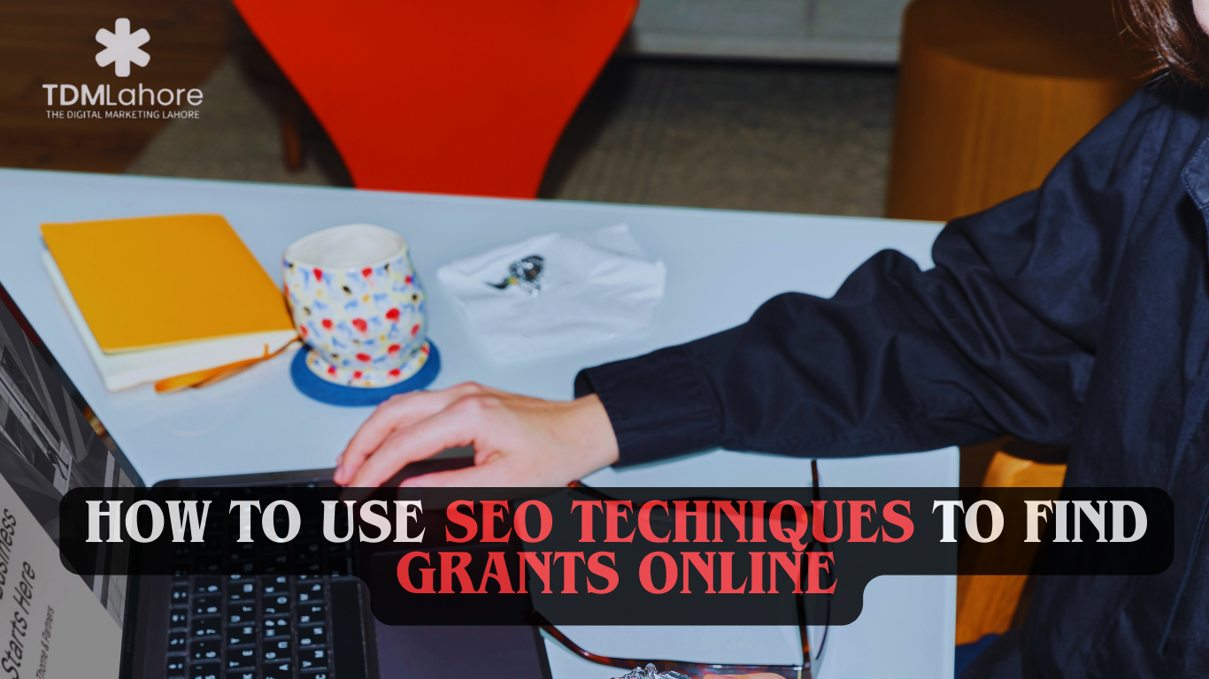 How to Use SEO Techniques to Find Grants Online with TDM Lahore